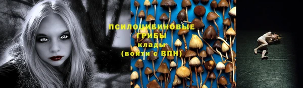 спайс Алексин
