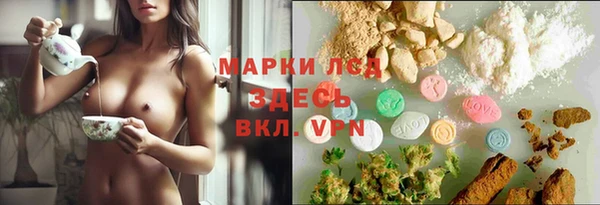 spice Абаза
