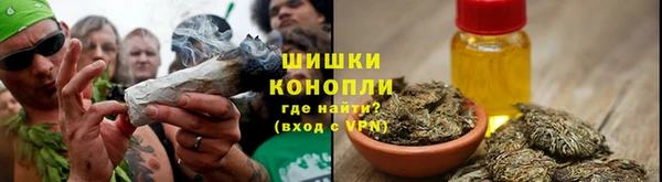 сатива Алзамай