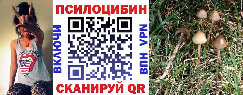 Псилоцибиновые грибы MAGIC MUSHROOMS Омск