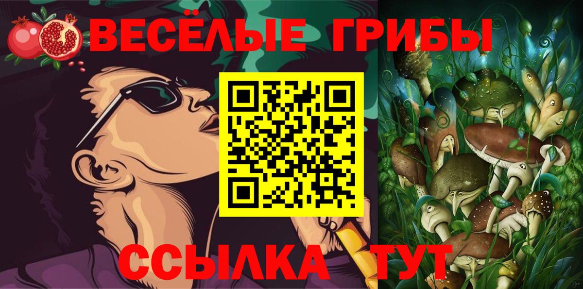 Омск  Галлюциногенные грибы Cubensis  Вход с VPN 